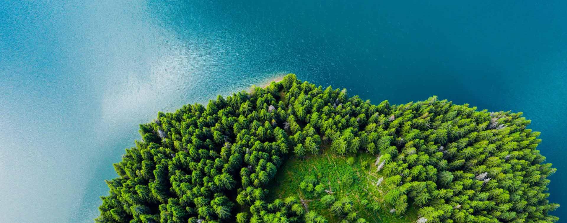 Green island in bird's eye view with sea bordered