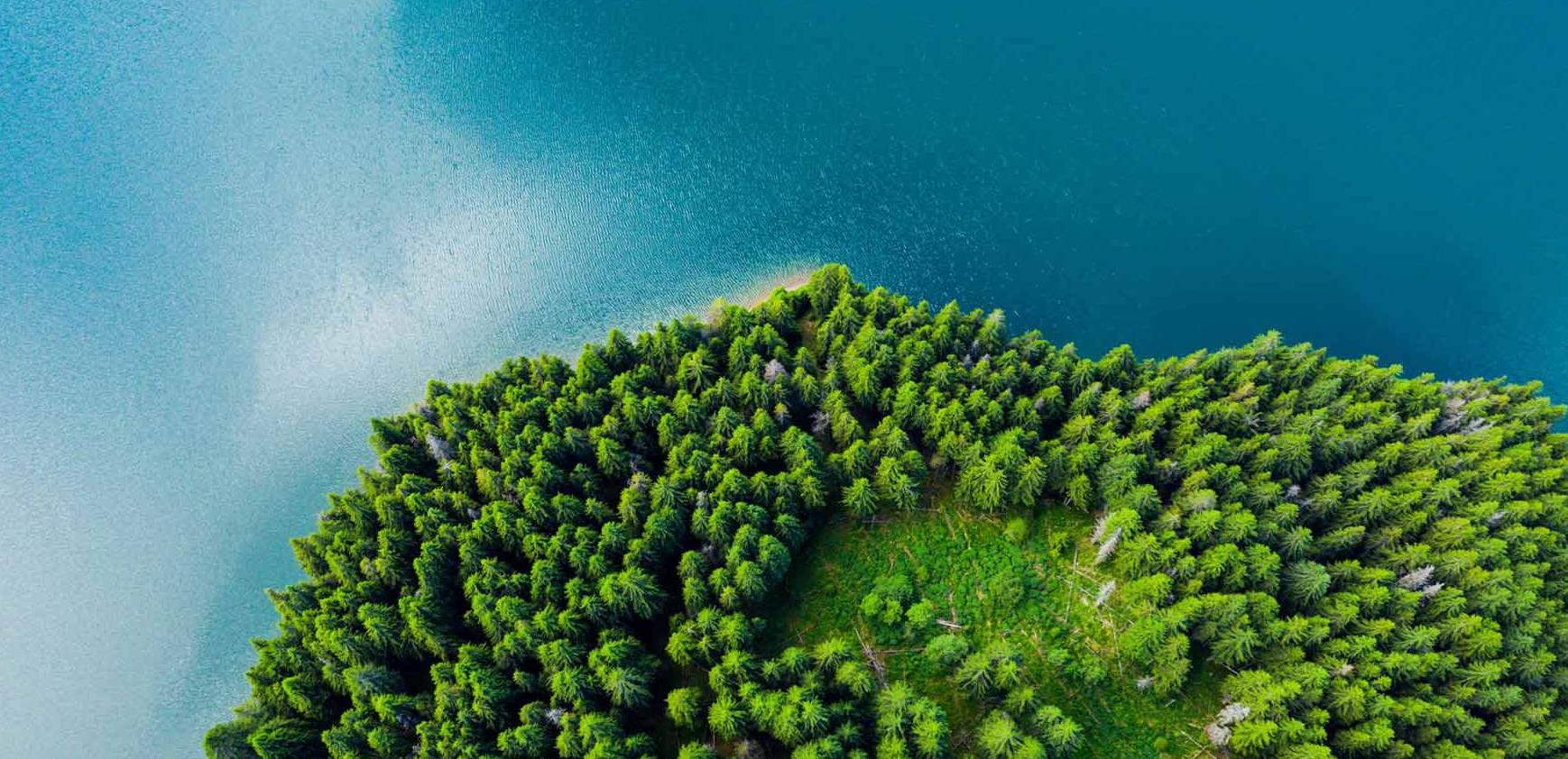 Green island in bird's eye view with sea bordered